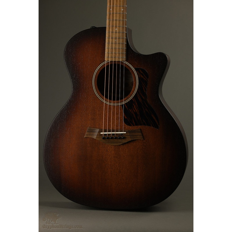 Taylor AD24ce Acoustic Electric Guitar – New